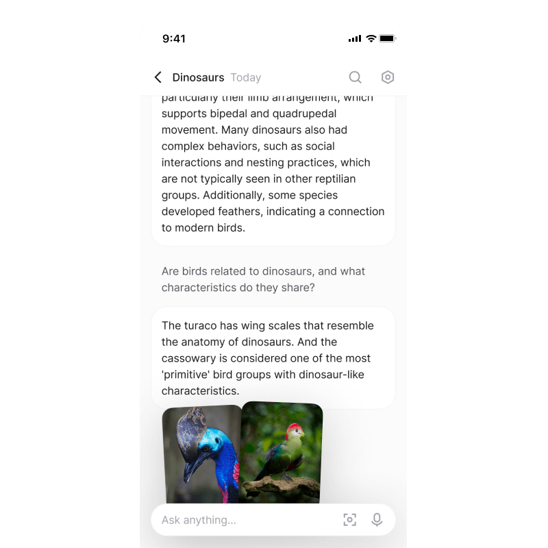 AI chat for knowledge base AI app
